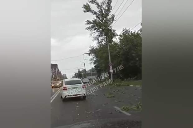 ﻿На улице Болдина в Туле упавшее дерево задело две машины