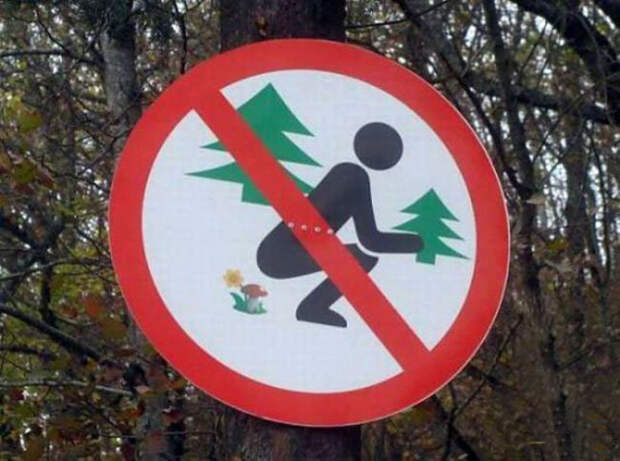 Предупреждение, что лес — это не туалет