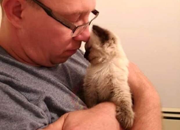 Котенок нежится Котенок с мужчиной