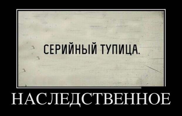 Демотиваторы (30 фото)