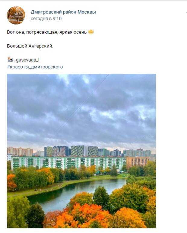 Осень в парке Ангарские пруды. Москва парк осень Ангарские пруды.