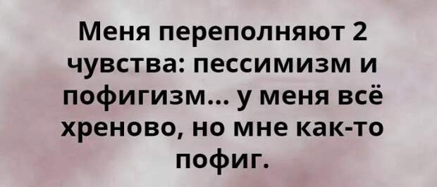 20 Открыток С Неподражаемым Сарказмом