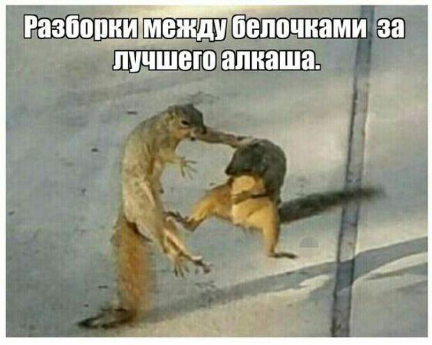Свежие картинки с надписями этой пятницы