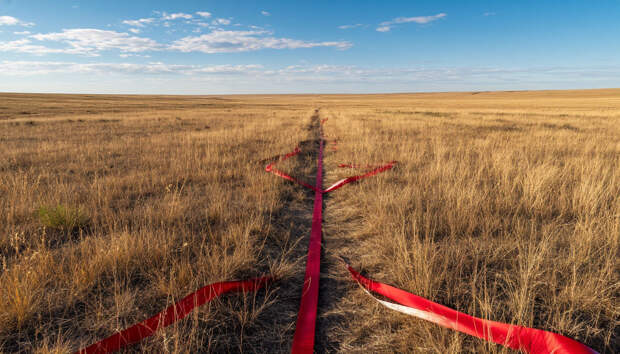 Бешенство обнаружено в степи под Астраханью