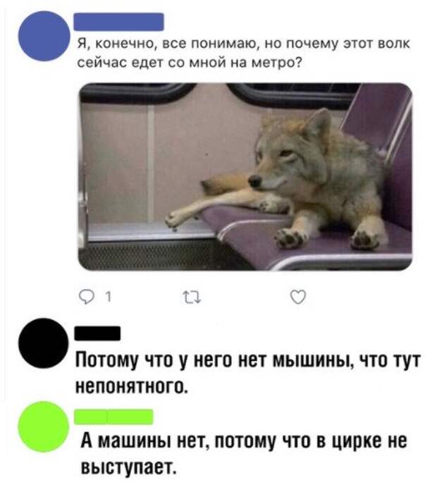 Чуток картинок!