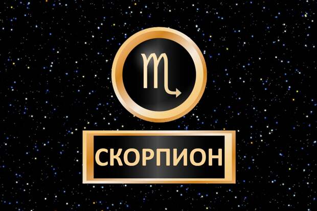 Год кролика 2023: что он приготовил для женщин под знаком зодиака Скорпион