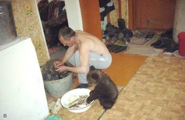 Наши приколы