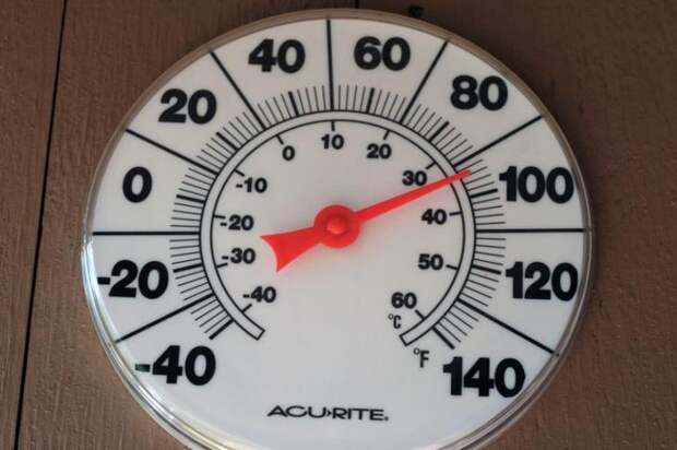 В летнее время оптимальной температурой для колеуса является диапазон от +20°С до +28°С.