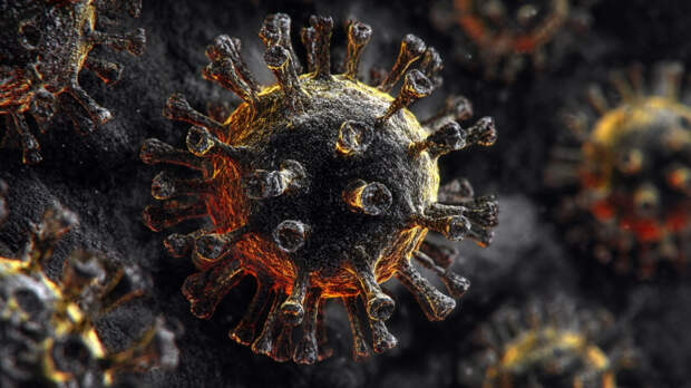 «Типичных симптомов нет»: почему вирус Нипах сложно отличить от обычного ОРВИ