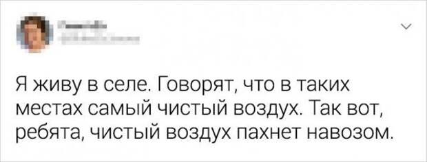 Подборка забавных твитов