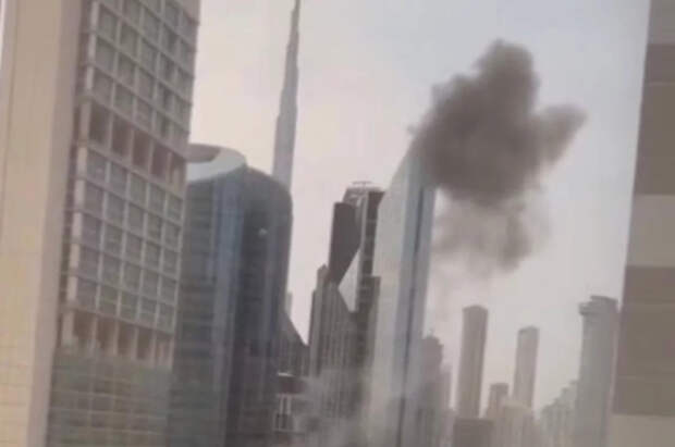 Генконсульство советует россиянам в Дубае снимать только «видео с котиками»