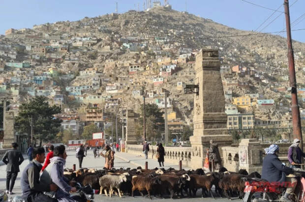 Власти Афганистана заявили о масштабных ответных операциях против Пакистана