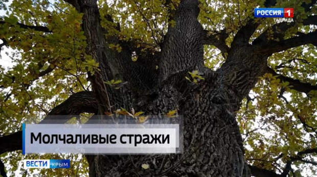 Осень — золотая пора, когда крымская природа приобретает особенный шарм