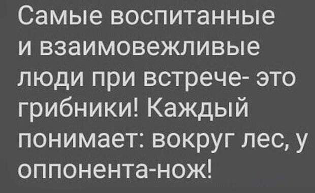 Вот и первые грибочки пошли... Псилоцибиновый юмор о начале сезона