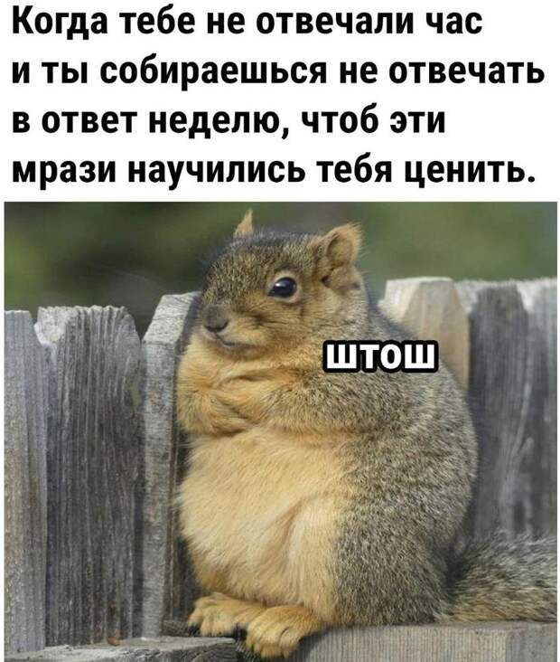 прикольные картинки ржачные (4)