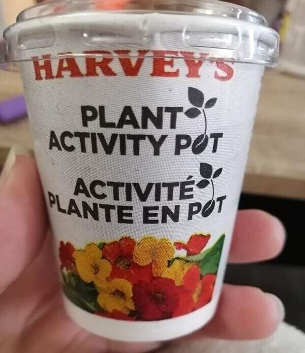 24. Закусочная Harvey’s (Канада) предлагает детям "выращивать собственные растения" вместо пластиковых игрушек в детском наборе еды
