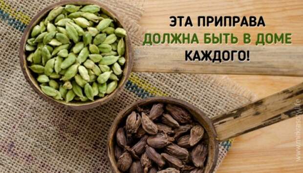 Пряность, дарующая ясный ум и долголетие