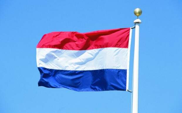 На власти Нидерландов подали в суд из-за референдума по Украине