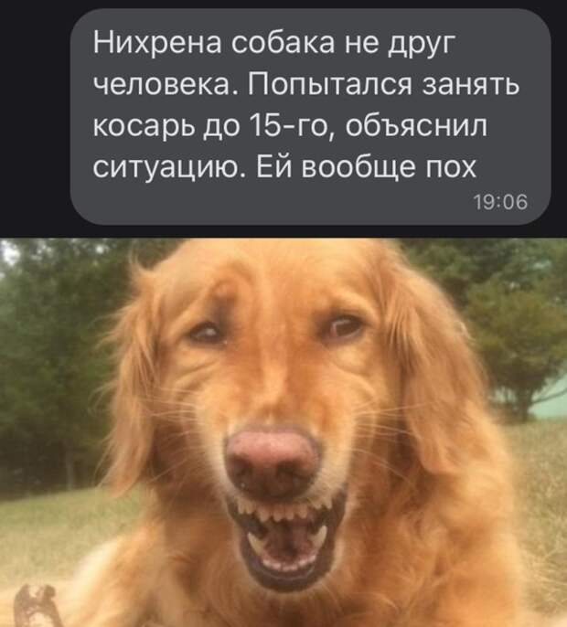 Смешные картинки вечер 2 августа 2021