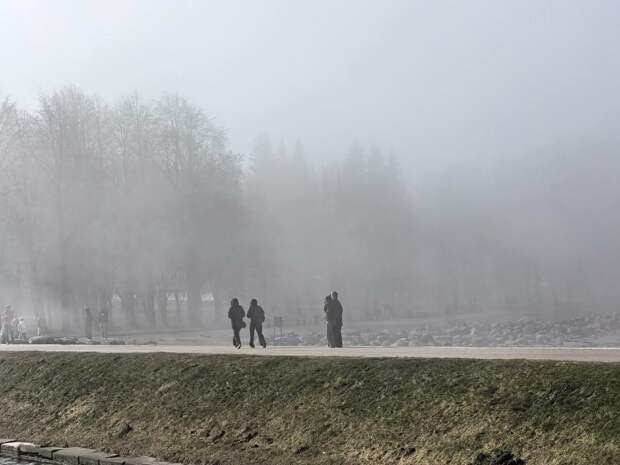Петербуржцы гуляют в густом тумане с минимальной видимостью