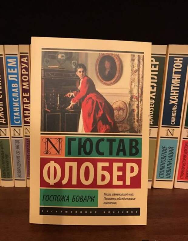 Гюстав Флобер, «Госпожа Бовари». / Фото: www.labirint.ru