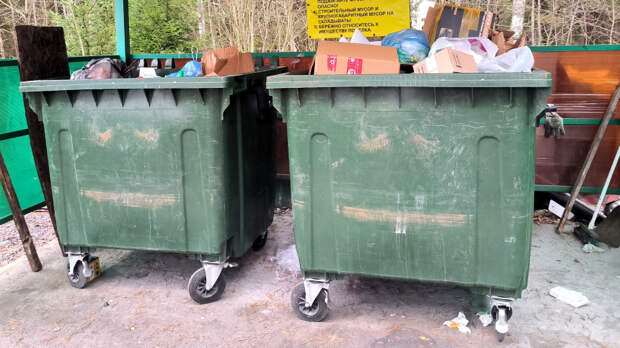 Полицейские обнаружили воровку в мусорном баке во время рейда