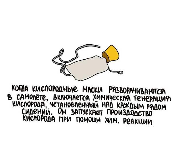 Интересные и короткие факты на все случаи жизни