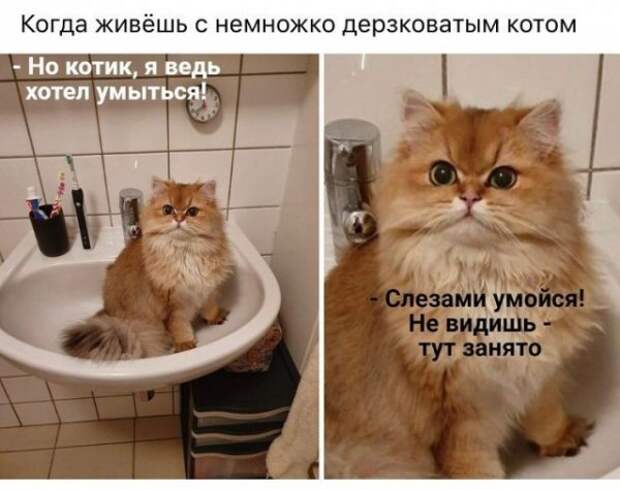 Прикольные картинки абавсём:D