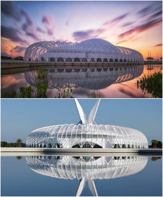 Удивительной красоты задние станет украшением все территории университета (Кампус наук, инноваций и технологий Флоридского политехнического университета в Лейкленде, США).