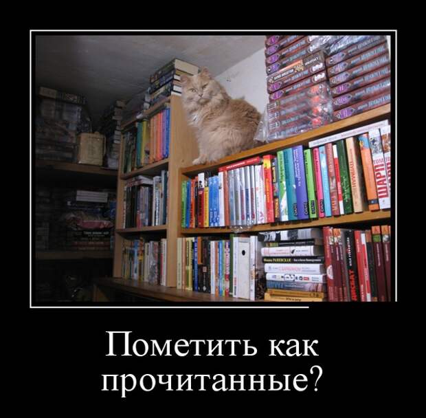 Демотиваторы (30 фото)
