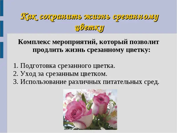 Способы продлить. Правила составления букетов. Рекомендации по уходу за срезанными цветами. Памятка для срезанных цветов. Проект как продлить жизнь срезанным цветам.