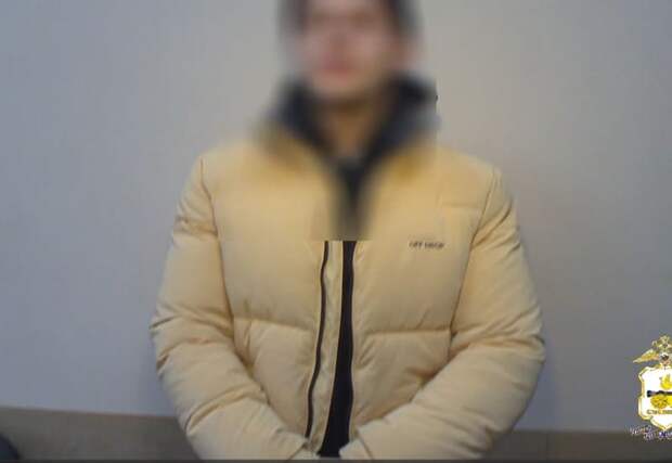 Видео: 22-летнего смолянина, работавшего на мошенников, задержали правоохранительные органы