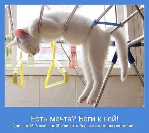 Позитивные мотиваторы с самого утра
