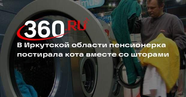 В Иркутской области пенсионерка постирала кота вместе со шторами