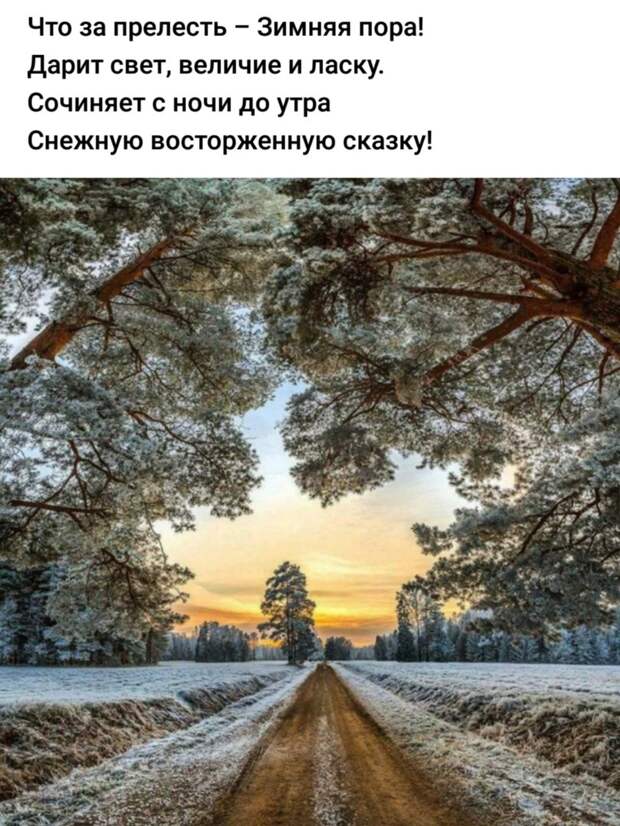 Новый год к нам мчится, скоро всё случится...)