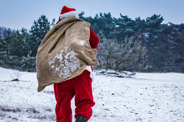 Дед Мороз: в праздники можно устроить фотопоход с чаем