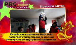 Китайская компания State Grid