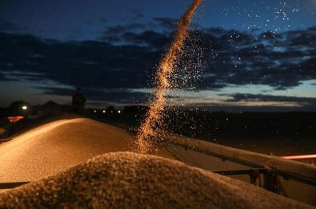 A combine loads a truck with wheat during harvesting in a field of Triticum farm in Omsk region, Russia September 16, 2020. Picture taken September 16, 2020. REUTERS/Alexey Malgavko