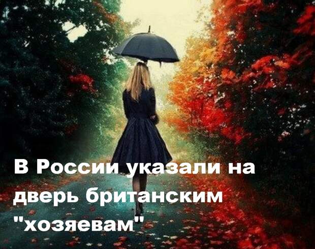 Получив во владение часть акций Сбербанка, зарубежные компании естественно стремились извлекать не только финансовую прибыль, но и оказывать влияние на экономику.