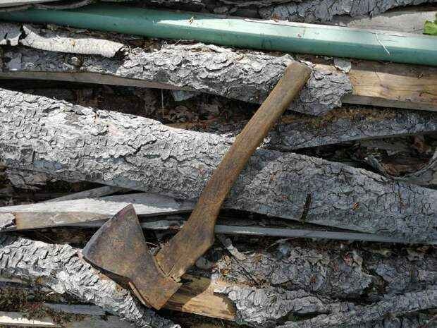 За незаконную вырубку лесов Красноярска предприниматель получил три года колонии