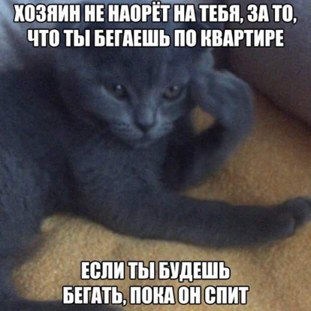 Прикольные фотомемы (28 шт)