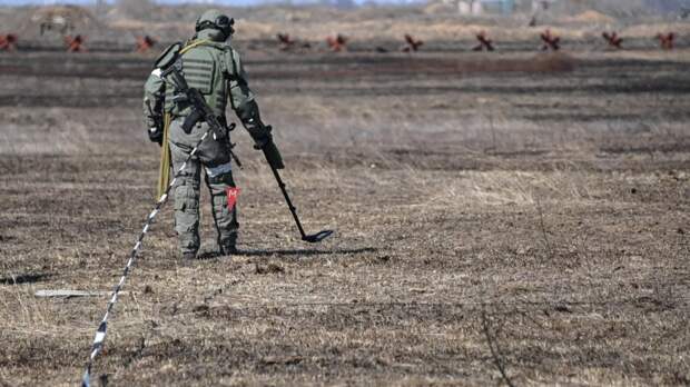 Российские сапёры за сутки обезвредили 1659 взрывоопасных предметов в ДНР и ЛНР