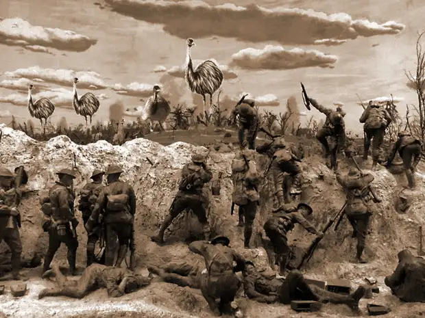 Неправильные войны