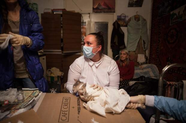 Волонтёры и врач ужаснулись состоянию котов