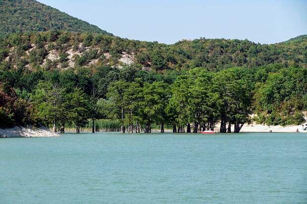 Фото: commons.wikimedia.org/Dmitry89 (CC BY-SA 4.0)