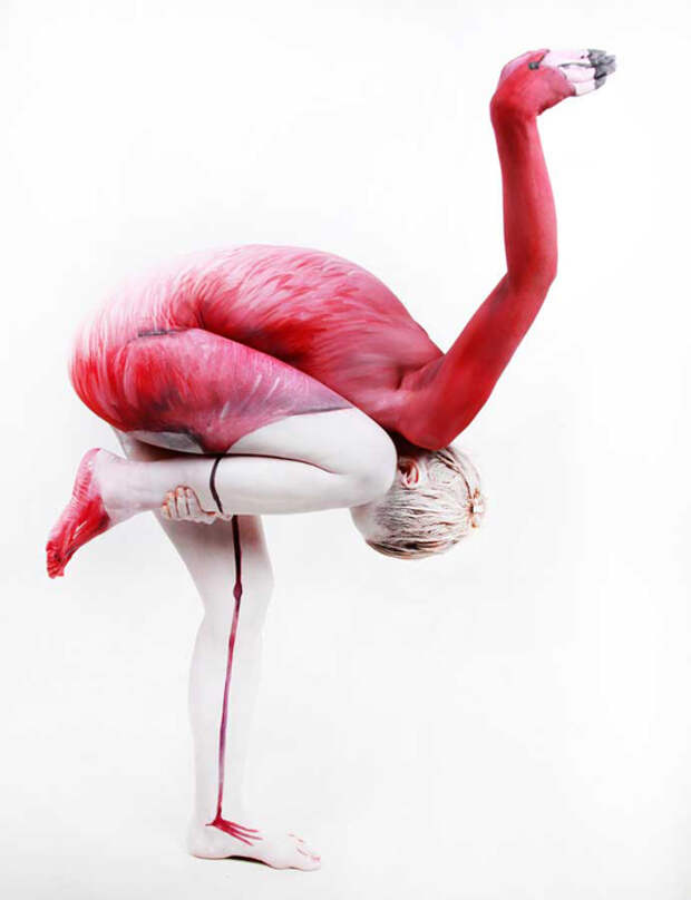 Розовый фламинго. Автор работы: Gesine Marwedel.