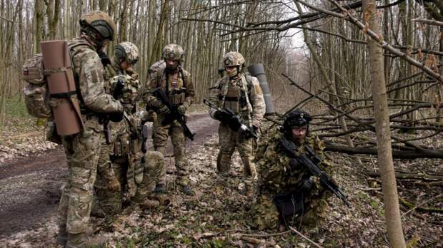 Топ-15 популярных видео-2025. Место № 14