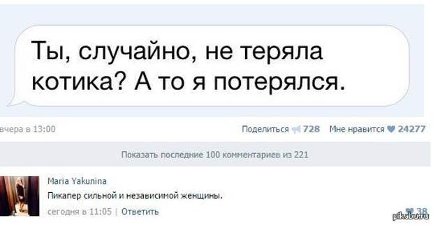 Уморительные истории о котах Уморительные истории о котах