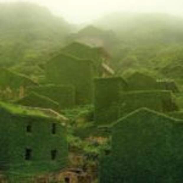 В Китае целиком природа поглотила в деревню