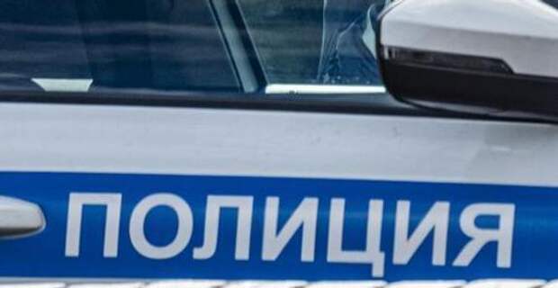 В Подмосковье легковой автомобиль насмерть сбил женщину и ребенка